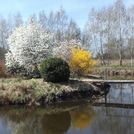 Marka Pokoje Goscinne Mielno  Esterno foto