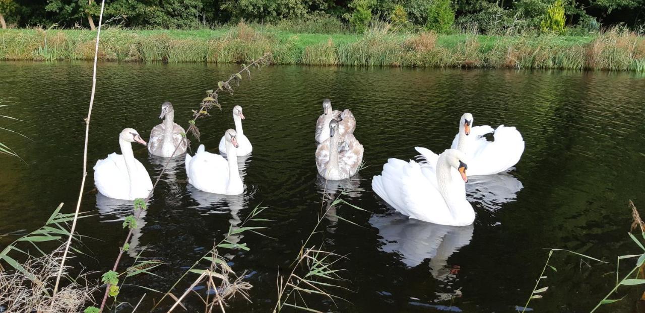 Marka Pokoje Goscinne Mielno  Esterno foto