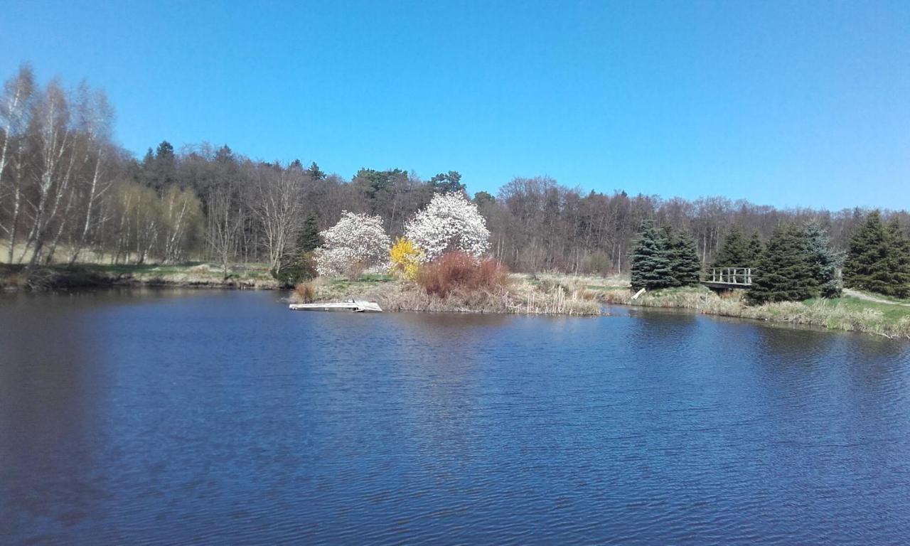Marka Pokoje Goscinne Mielno  Esterno foto