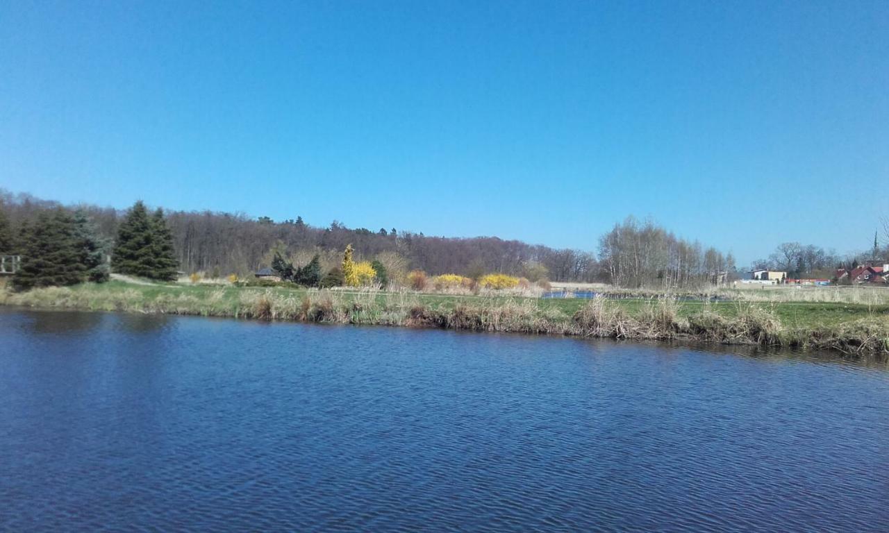 Marka Pokoje Goscinne Mielno  Esterno foto