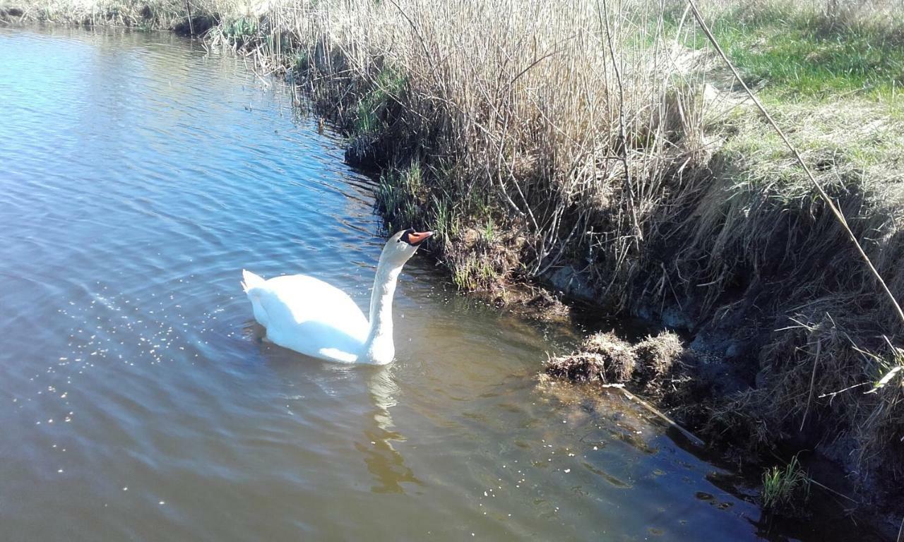 Marka Pokoje Goscinne Mielno  Esterno foto